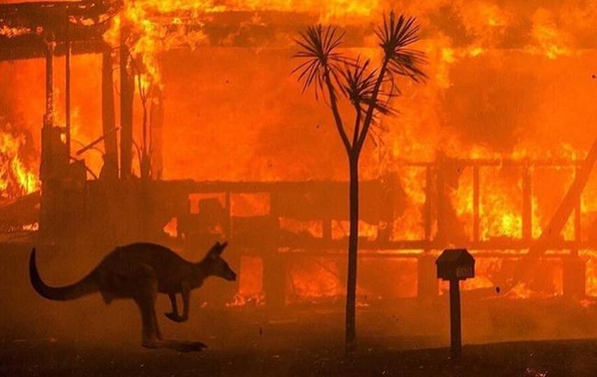 Австралия после пожаров: в сеть попали удивительные фото