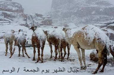 http://danuka.files.wordpress.com/2013/12/snow-falls-on-egypt-pyramids-6.jpg?w=675