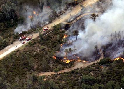 На юге Франции горят леса; огонь уничтожает 300 гектаров за полчаса