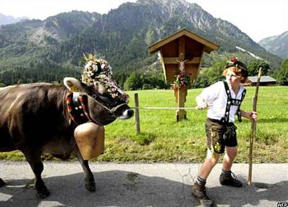 Мальчик в традиционном баварском костюме с коровой
