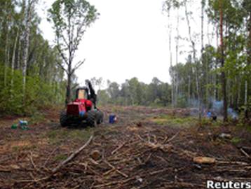 Трактор стоит на вырубленном участке Химкинского леса