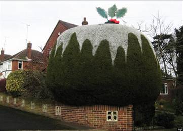 Семья, живущая в английском городе Йовил, превратила дерево около своего дома в рождественский пирог
