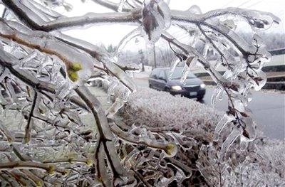 Ice surrounds the branches of a tree after a storm in East Derry, ...