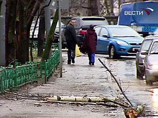 По состоянию на 07:00 понедельника, от последствий шквалистого ветра в Москве пострадали семь человек