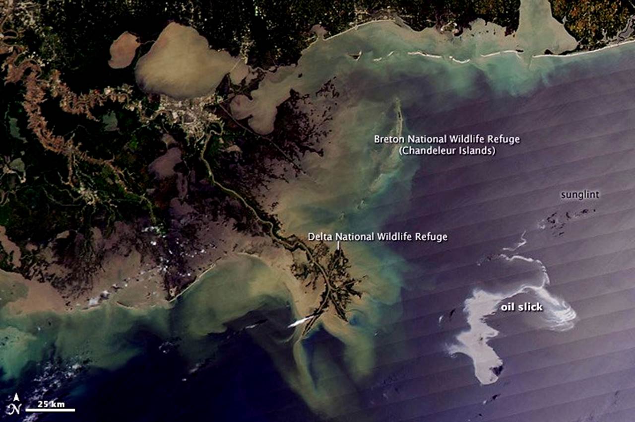 Image result for нефтяное пятно в Мексиканском заливе
