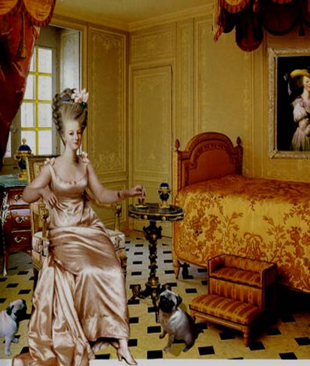 Marie-Antoinette by lilidebretagne.